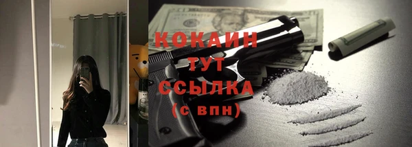 ГАЛЛЮЦИНОГЕННЫЕ ГРИБЫ Кукмор