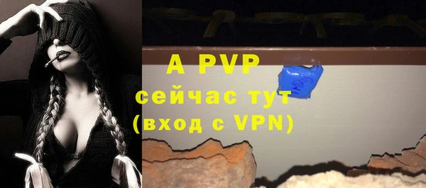 ГАЛЛЮЦИНОГЕННЫЕ ГРИБЫ Кукмор