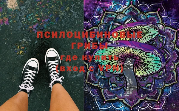 ГАЛЛЮЦИНОГЕННЫЕ ГРИБЫ Кукмор