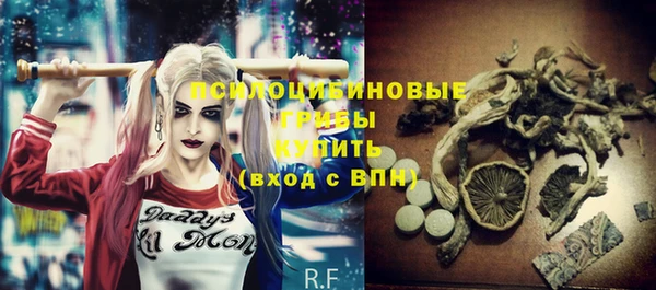 ГАЛЛЮЦИНОГЕННЫЕ ГРИБЫ Кукмор