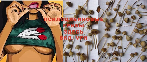 ГАЛЛЮЦИНОГЕННЫЕ ГРИБЫ Кукмор