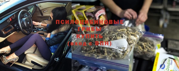 ГАЛЛЮЦИНОГЕННЫЕ ГРИБЫ Кукмор